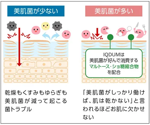 イメージ画像